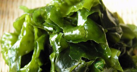 裙带菜的营养价值_吃裙带菜的好处