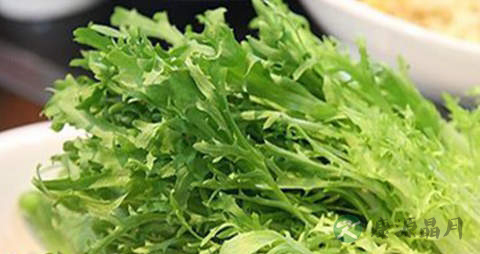 苦苣芽的营养价值_吃苦苣芽的好处