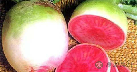 心里美萝卜的吃法_哪些人不能吃心里美萝卜 心里美萝卜的吃法_哪些人不能吃心里美萝卜