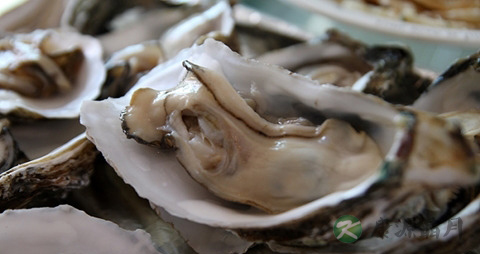生蚝的吃法_哪些人不能吃生蚝