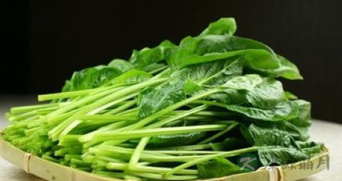 富含草酸的食物有哪些 富含草酸的食物有哪些