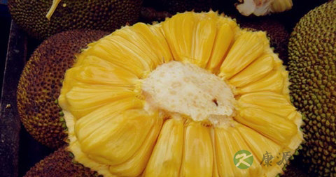 菠萝蜜怎么剥 菠萝蜜怎么剥