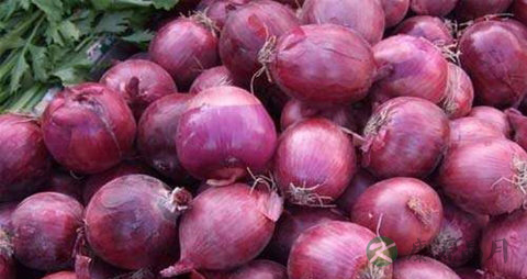 红葱头和毛葱的区别 红葱头和毛葱的区别