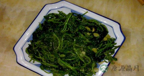 红薯苗的吃法_哪些人不能吃红薯苗