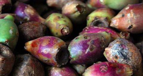 仙人掌果的吃法_哪些人不能吃仙人掌果