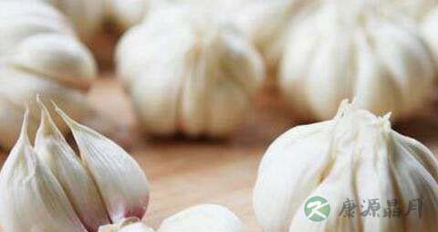 糖蒜和腊八蒜区别 糖蒜和腊八蒜区别