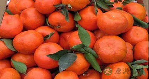 三湖红桔的营养价值_吃三湖红桔的好处 三湖红桔的营养价值_吃三湖红桔的好处