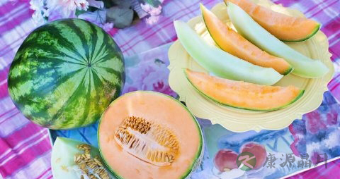 哈密瓜怎么切