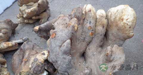 脚板薯的吃法_哪些人不能吃脚板薯