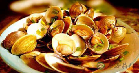 杂色蛤蜊的吃法_哪些人不能吃杂色蛤蜊 杂色蛤蜊的吃法_哪些人不能吃杂色蛤蜊
