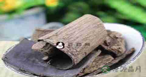 杜仲的吃法_哪些人不能吃杜仲