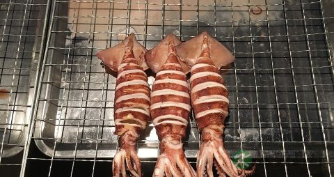 鱿鱼怎么做才嫩 鱿鱼怎么做才嫩