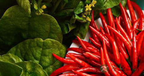 辣椒尖的吃法_哪些人不能吃辣椒尖