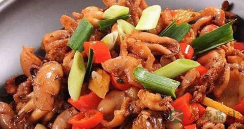 八带鱼的营养价值_吃八带鱼的好处 八带鱼的营养价值_吃八带鱼的好处