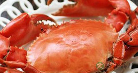 蒸螃蟹肚子朝上还是朝下