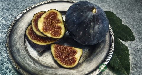 无花果干泡水喝的功效 无花果干泡水喝的功效