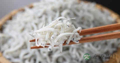 丁香鱼的营养价值_吃丁香鱼的好处 丁香鱼的营养价值_吃丁香鱼的好处