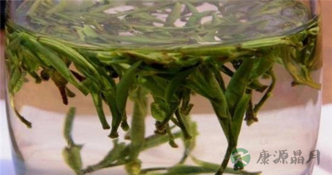 苦丁茶的真假鉴别 苦丁茶的真假鉴别
