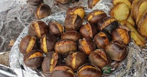 虾和板栗能一起吃吗