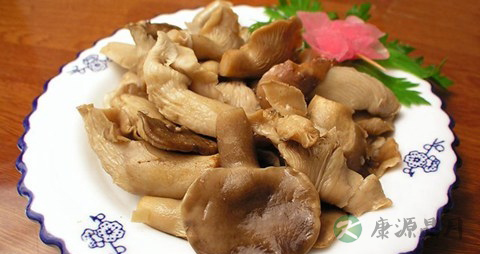 鲍鱼菇的吃法_哪些人不能吃鲍鱼菇