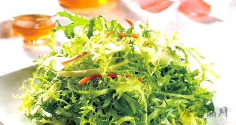 凉拌苦菊需要焯水吗