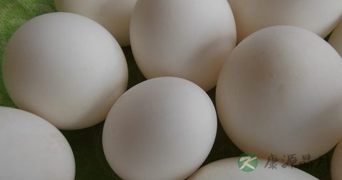 哪些人不宜吃咸鸭蛋