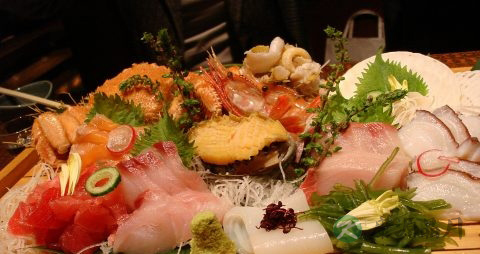 三文鱼是海鱼吗