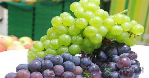 葡萄开裂还能吃吗