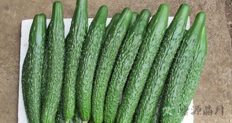 黄瓜怎么榨汁好喝