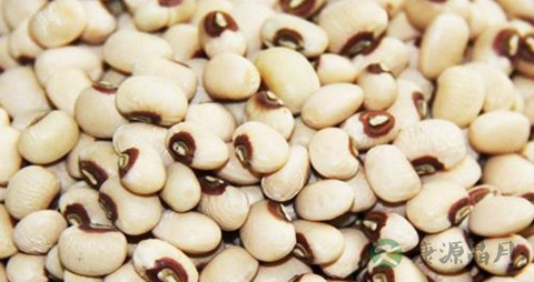 白豆的吃法_哪些人不能吃白豆