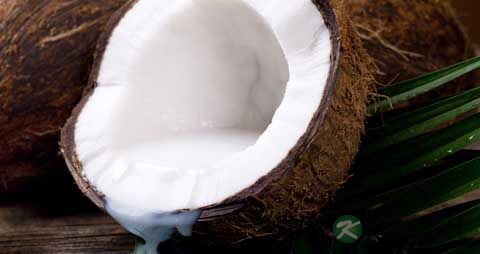 椰子肉的吃法_哪些人不能吃椰子肉