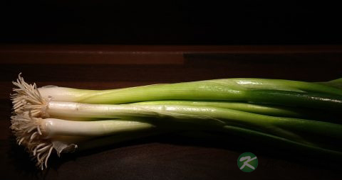 葱和豆腐能一起吃吗 葱和豆腐能一起吃吗