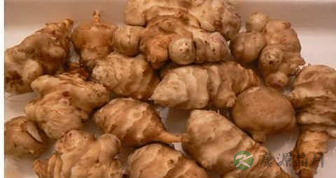 菊芋的营养价值_吃菊芋的好处 菊芋的营养价值_吃菊芋的好处