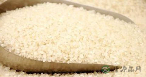 意大利米的营养价值_吃意大利米的好处