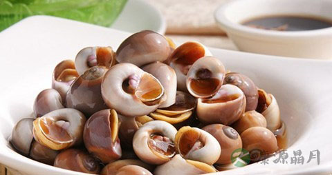 响螺肉的营养价值_吃响螺肉的好处