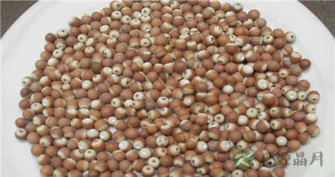 芡实米的吃法_哪些人不能吃芡实米