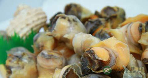 香波螺的营养价值_吃香波螺的好处