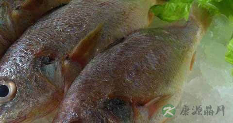 白姑鱼的营养价值_吃白姑鱼的好处