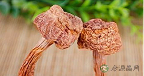 巴西蘑菇的吃法_哪些人不能吃巴西蘑菇