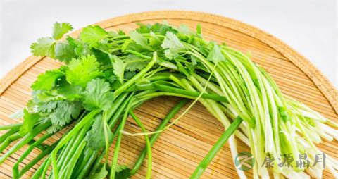芫荽的吃法_哪些人不能吃芫荽