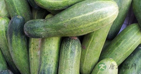 黄瓜变黄了还能吃吗