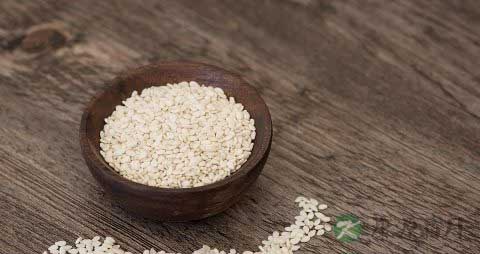 芝麻酱的热量是多少