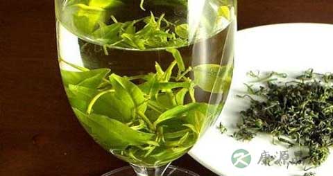 喝苦丁茶为什么恶心 喝苦丁茶为什么恶心