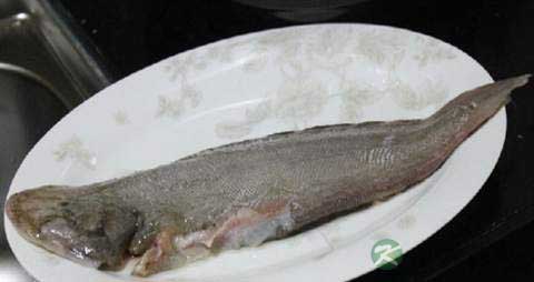 龙利鱼的营养价值_吃龙利鱼的好处 龙利鱼的营养价值_吃龙利鱼的好处