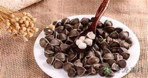 辣木籽的吃法_哪些人不能吃辣木籽