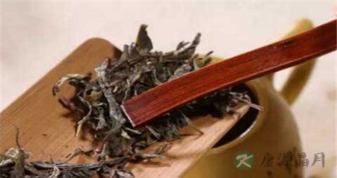 普洱属于什么茶 普洱属于什么茶