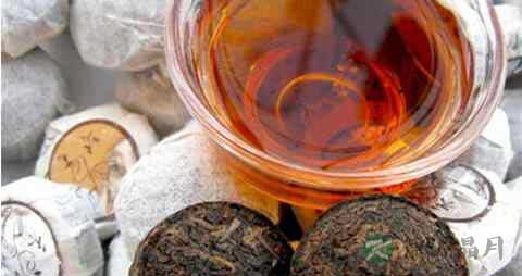 普洱茶可以一直泡着吗