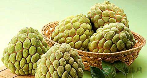 番荔枝的营养价值_吃番荔枝的好处
