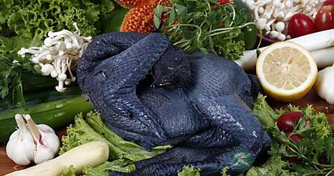 乌鸡的营养价值_吃乌鸡的好处