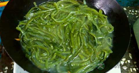 裙带菜的吃法_哪些人不能吃裙带菜